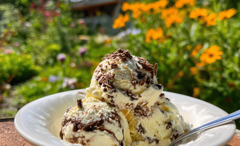 Gelato Recipe Ninja Creami